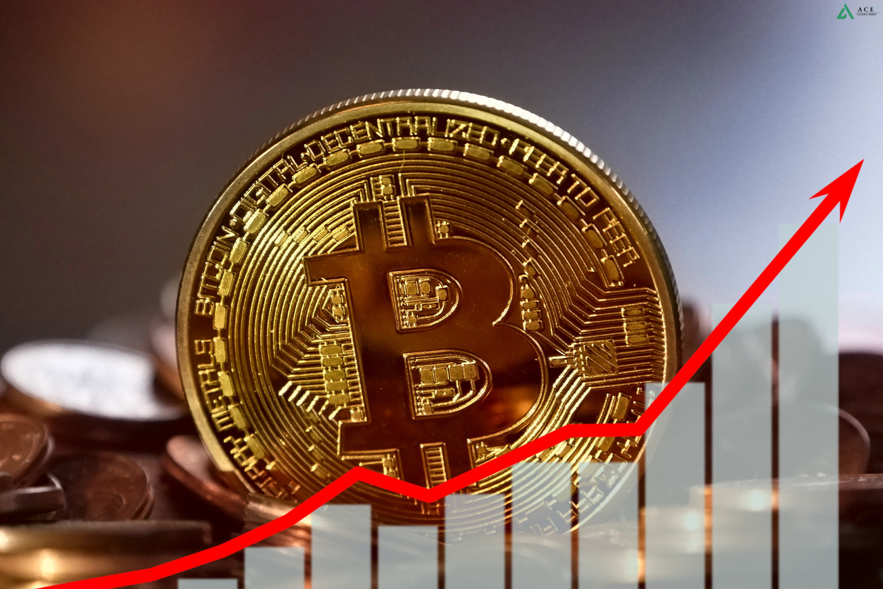 How the Bitcoin Halving Will Impact Investors and Miners?